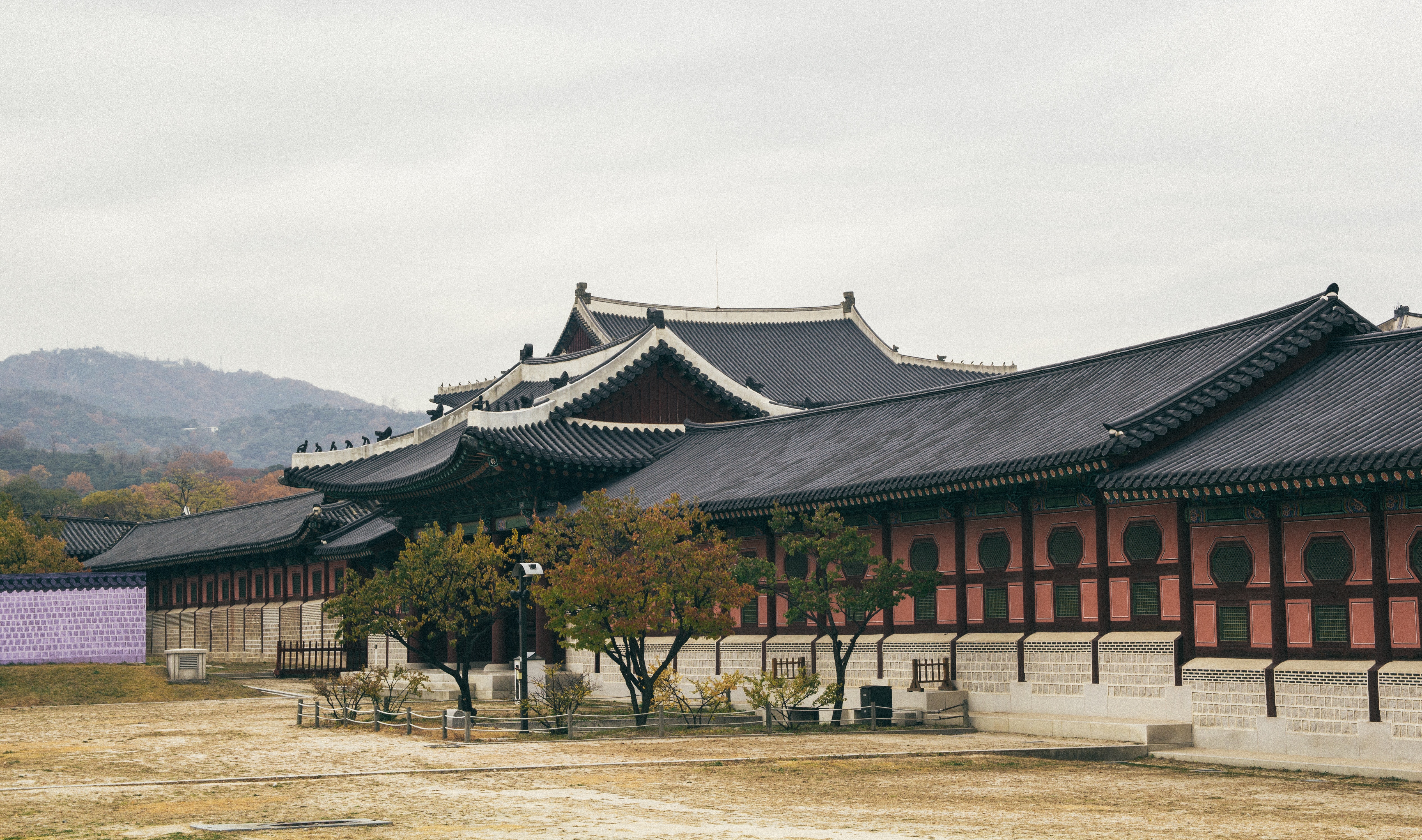 베트남 + 한국 + 일본 투어 15박 16일