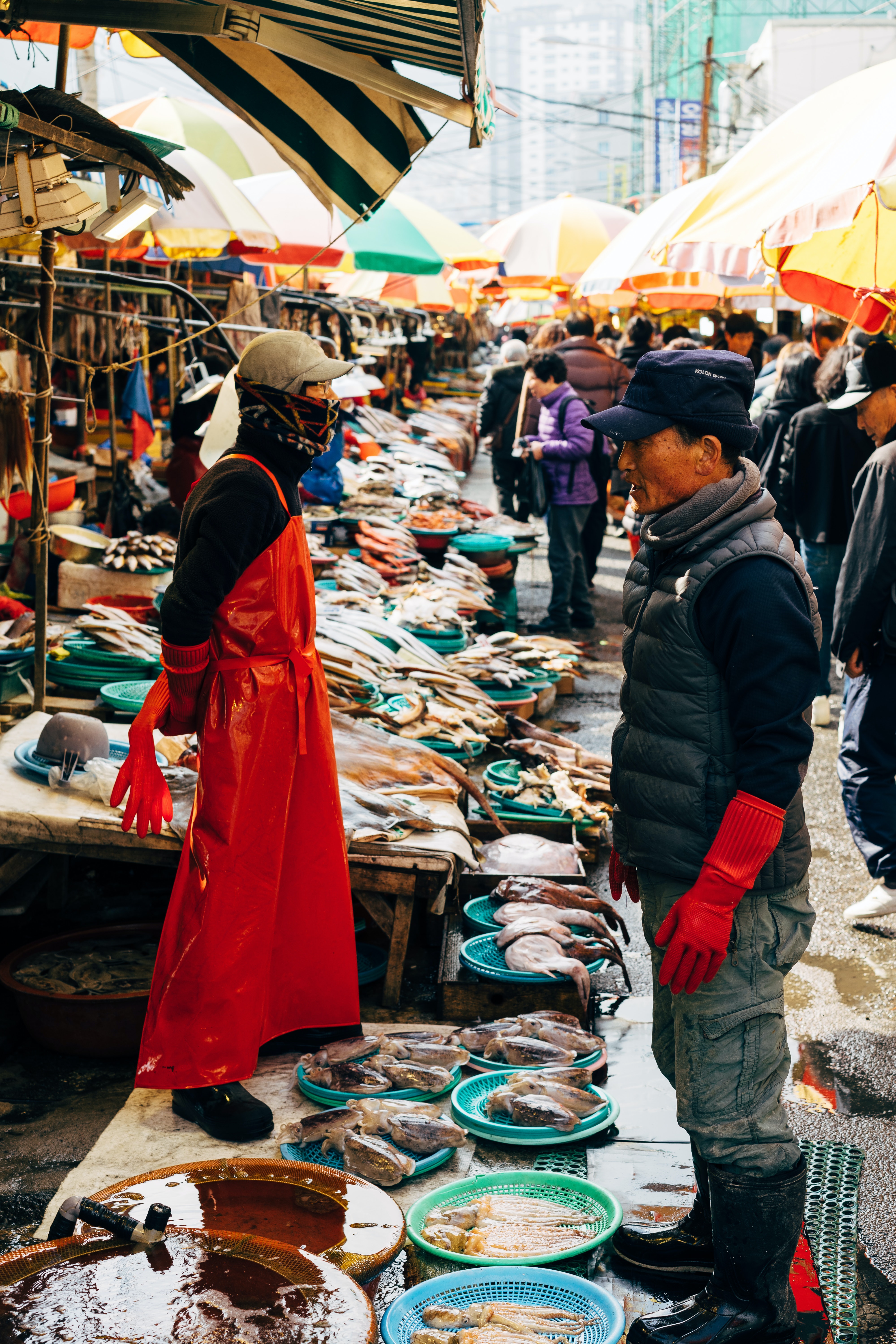 베트남 + 한국 + 일본 투어 15박 16일
